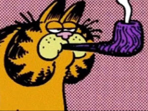 Meet your Posher, Zane